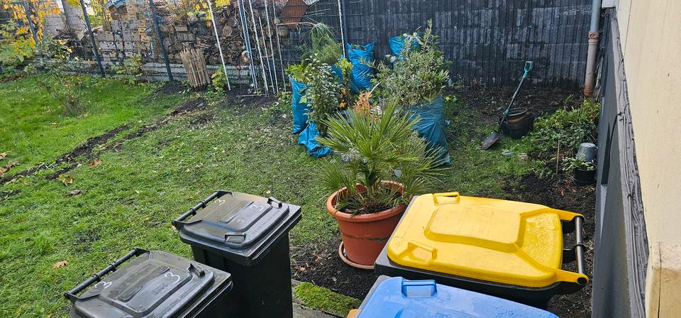 3 Zimmer Erdgeschoss Wohnung mit Garten 3 zimmer