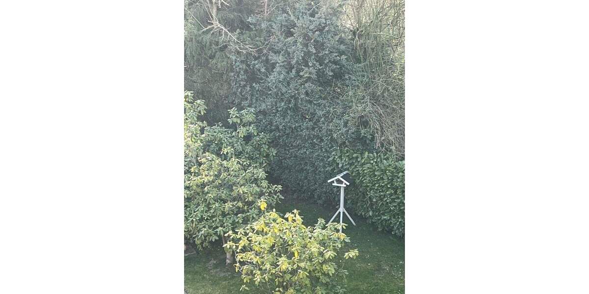 Etagenwohnung Hagen Vorhalle - 2 Zimmer, 75 m&sup2;, 450&euro; | Angebot:25640863