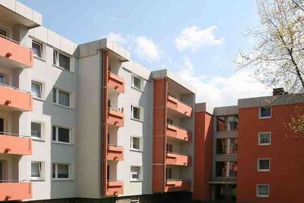 Wohnung zum Mieten in Hagen 280,10 € 41.13 m² 1 zimmer