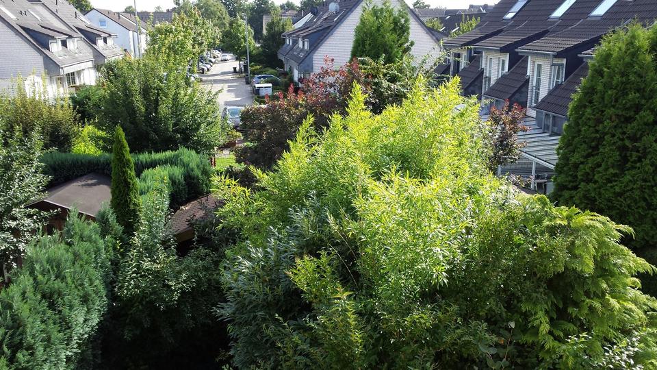 Reihenhaus Leverkusen Opladen - 4 Zimmer, 139 m&sup2;, 519.000&euro; | Angebot:27464601