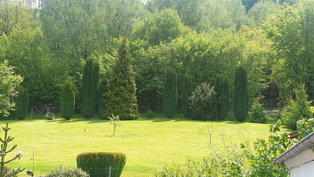 Handwerkerobjekt: 2 × EFH auf einem Grundstück - Einzelverkauf möglich (ideelle Teilung) 1 zimmer