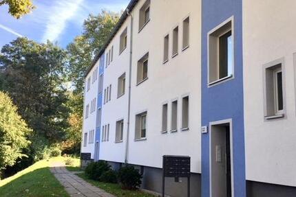 Hübsche 2-Zi-EG.-Whg. mit Einbauküche und Balkon 2 zimmer