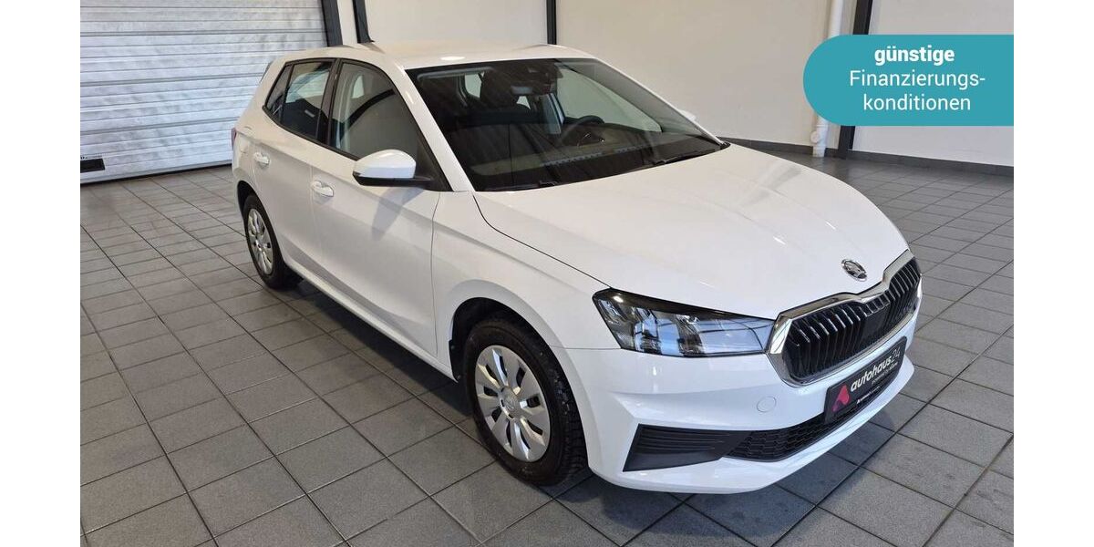 Skoda Fabia 11.966 km 14.290 &euro; Wuppertal 42287