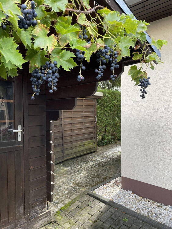Attraktives Reihenendhaus mit EinliegerWohnung, Garten & Carport - Viel Platz für Familie & mehr