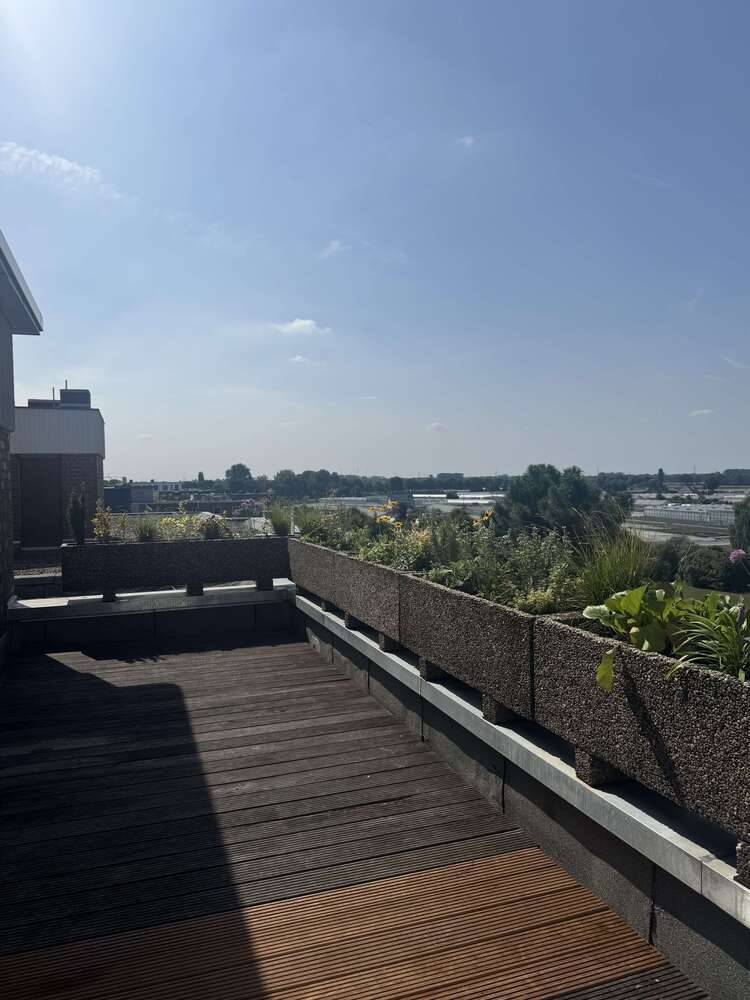 Wohnung zum Mieten in Düsseldorf 2.000 € 132 m²