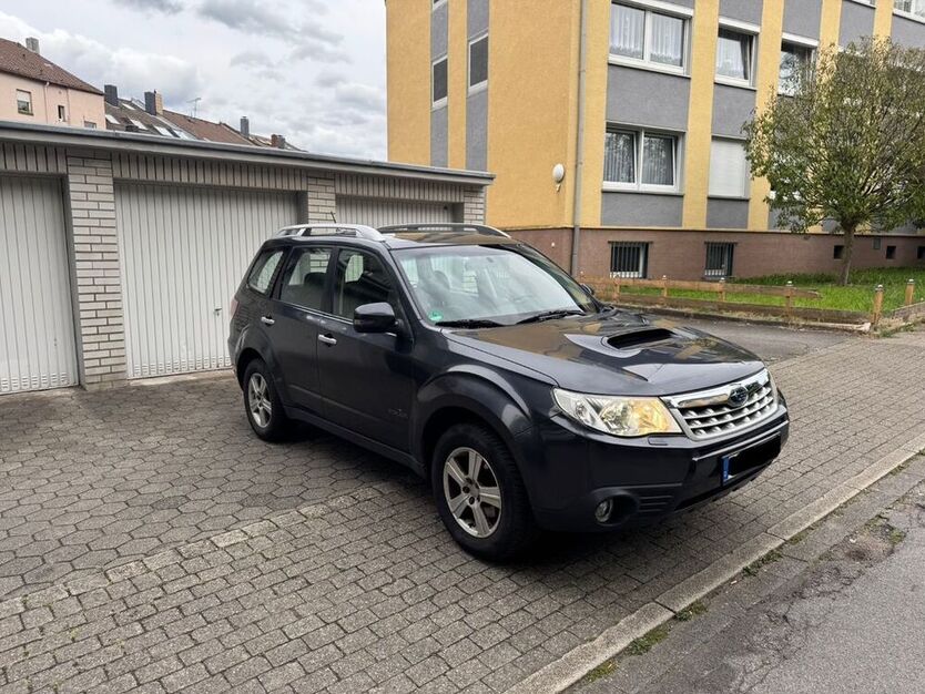 Forester