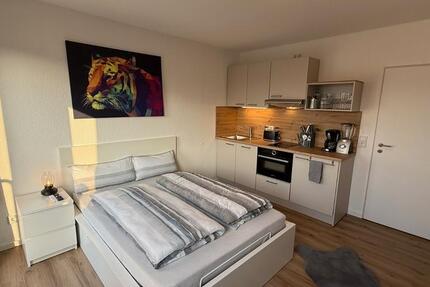 Apartment mit Internet und Küche inkl. Spülmaschine zimmer