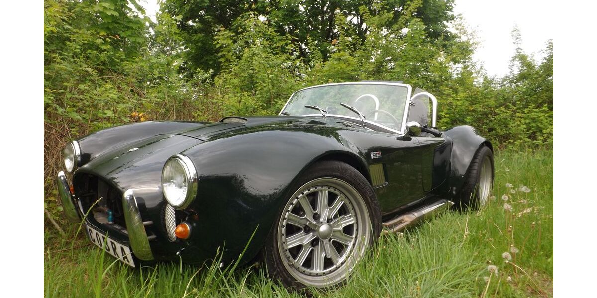 Cobra Andere 32.115 km 100.000 € Mettmann 40822
