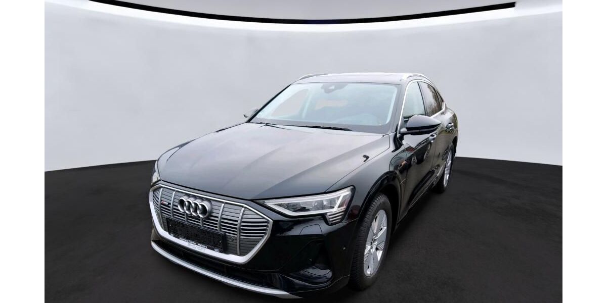 Audi e-tron 47.241 km 38.544 &euro; Hagen 58091