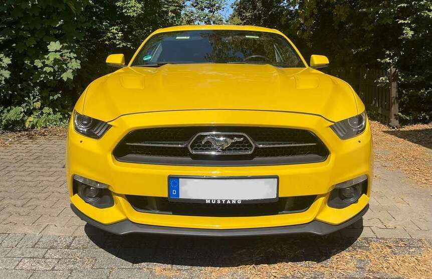 Mustang
