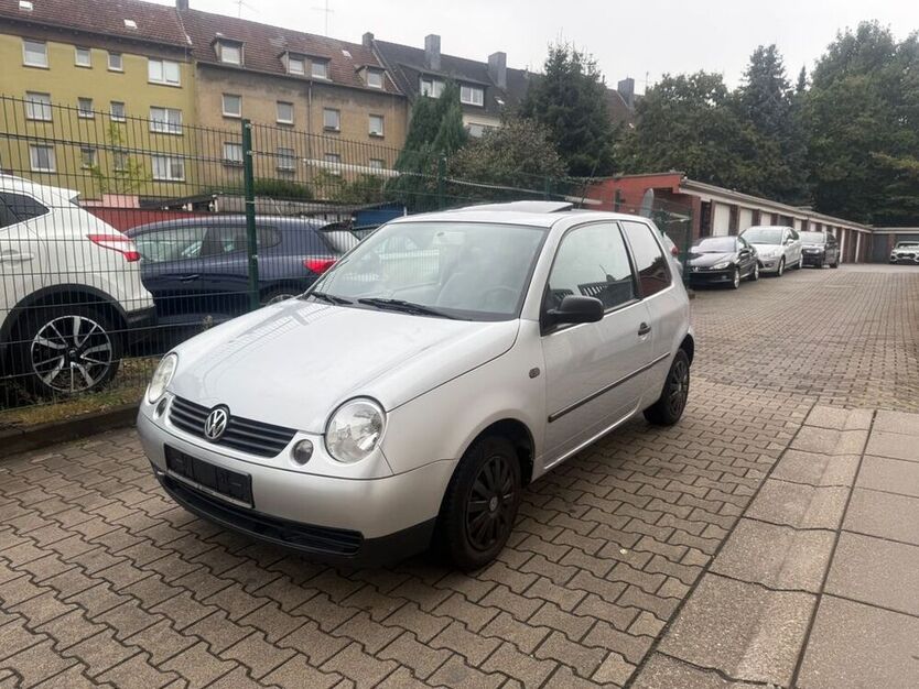 Lupo